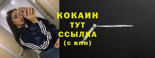 ALPHA-PVP Осинники