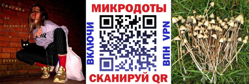 сайты даркнета телеграм  Кувшиново  Псилоцибиновые грибы прущие грибы 