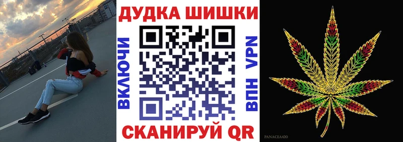 Конопля сатива Кувшиново